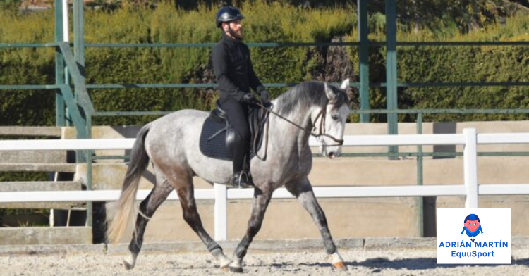 En el deporte ecuestre, el rendimiento no depende &uacute;nicamente de la t&eacute;cnica, la experiencia o la preparaci&oacute;n f&iacute;sica. La capacidad para mantener la concentraci&oacute;n, controlar los nervios y tomar decisiones con seguridad tambi&eacute;n influye directamente en la evoluci&oacute;n del deportista.