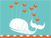 Twitter en España Una de las redes sociales que más crece es Twitter. En la actualidad tiene unos 500 millones de usuarios...