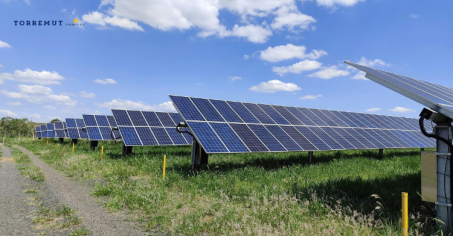 La Apuesta por la Sostenibilidad: Energía Renovable en el Corazón de Zamora El impulso hacia un modelo energético más limpio y responsable tiene en la provincia de Zamora un escenario de gran...
