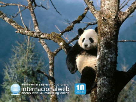 Nuevo animal en el zoo, ha llegado Panda 4.0 Preparados, listos, ¡ya!. El nuevo algoritmo de Google