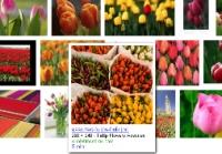 Google Images celebra sus 10.000 millones de imágenes indexadas con un rediseño Google ha anunciado en su blog que han alcanzado los 10.000 millones de imágenes indexadas en Google Imágenes.